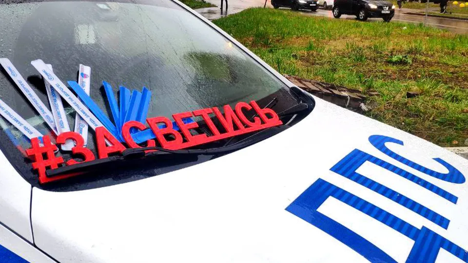 Фото: Госавтоинспекция Московской области