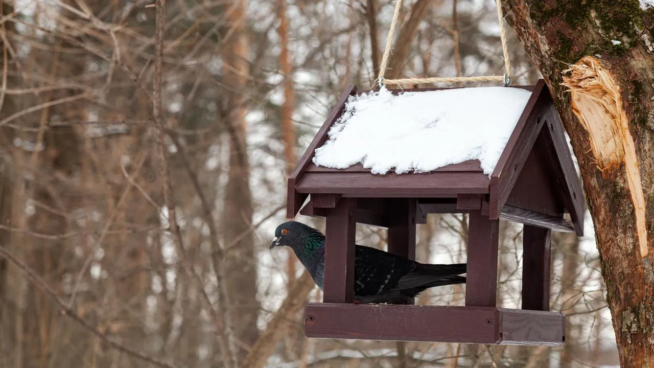 медиасток.рф