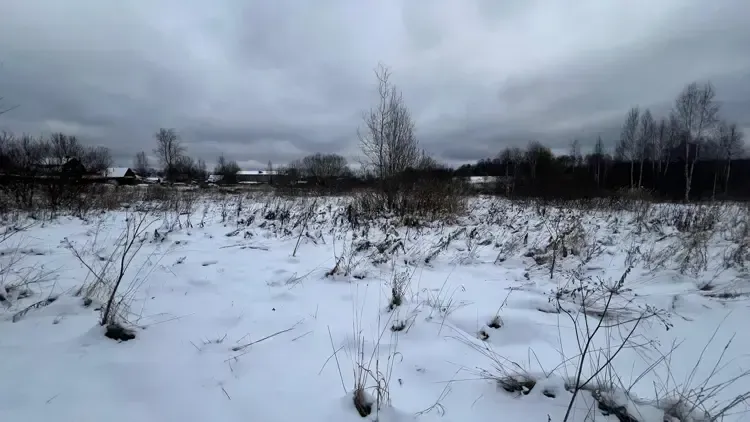 Фото: Комитет по конкурентной политике Московской области