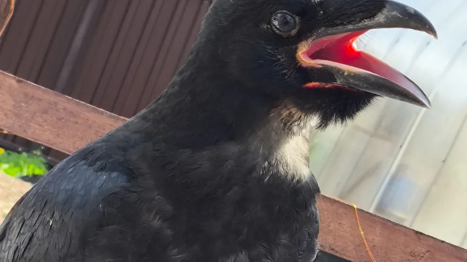 Фото: личный архив Ольги Кравченко