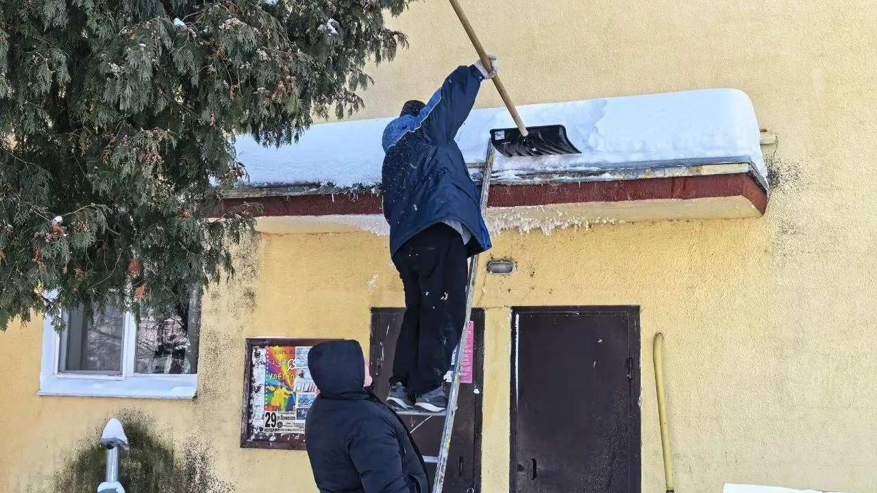 МедиаБанк Подмосковья/Ирина Матвеева