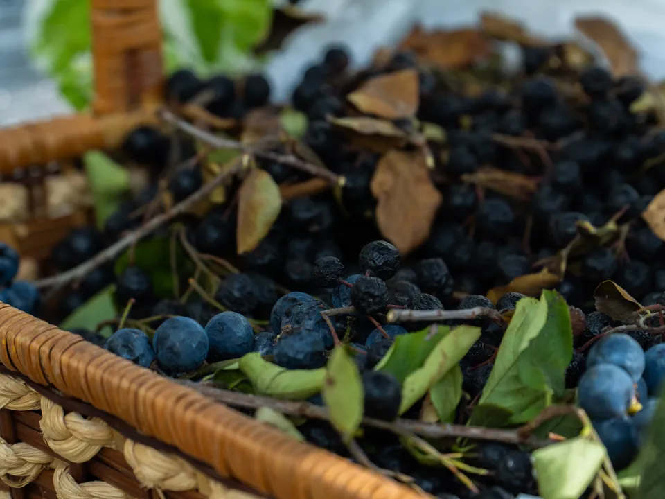 Фото: REGIONS/Наталия Надточая