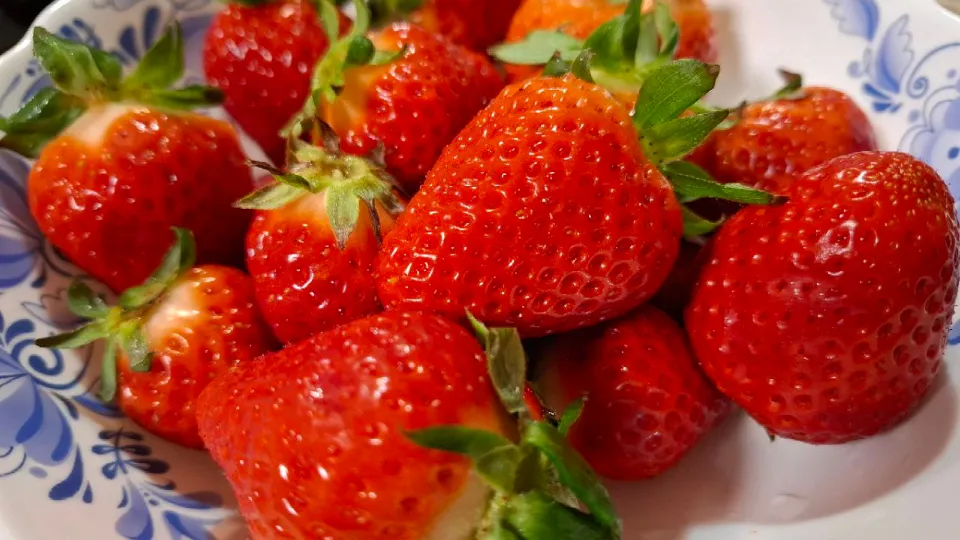 Фото: REGIONS/Юлия Габбасова