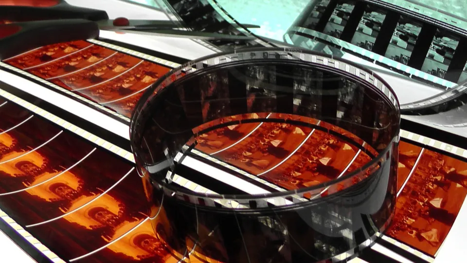 Фото: pxhere.com