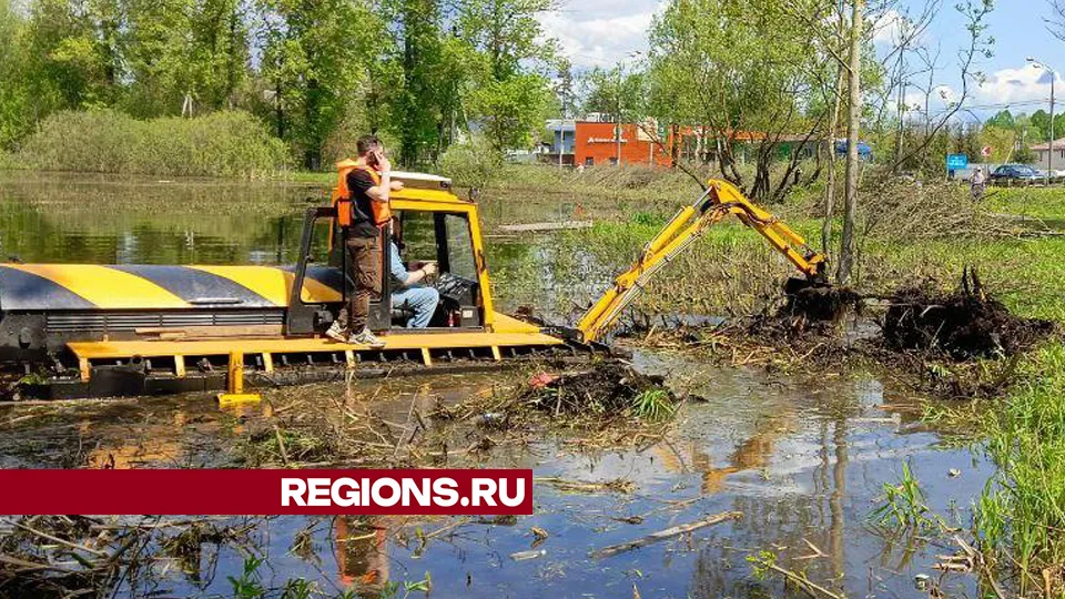 Фото: Евгений Рой