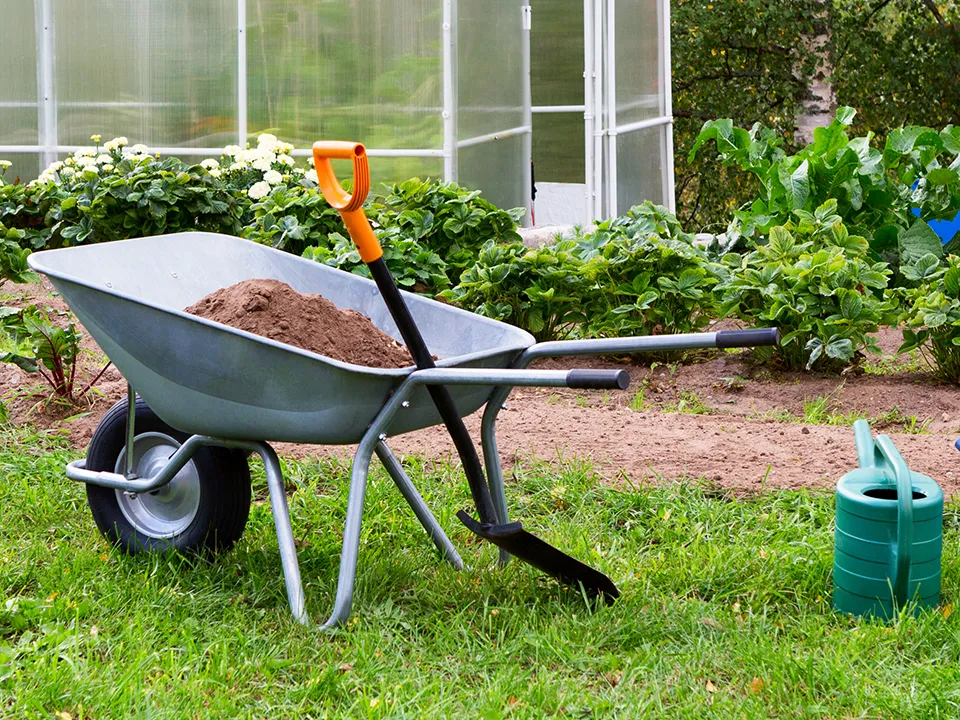 Фото: istockphoto.com