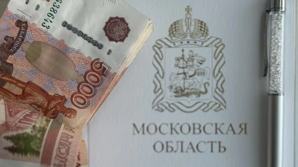 Фото: Министерство экономики и финансов Московской области
