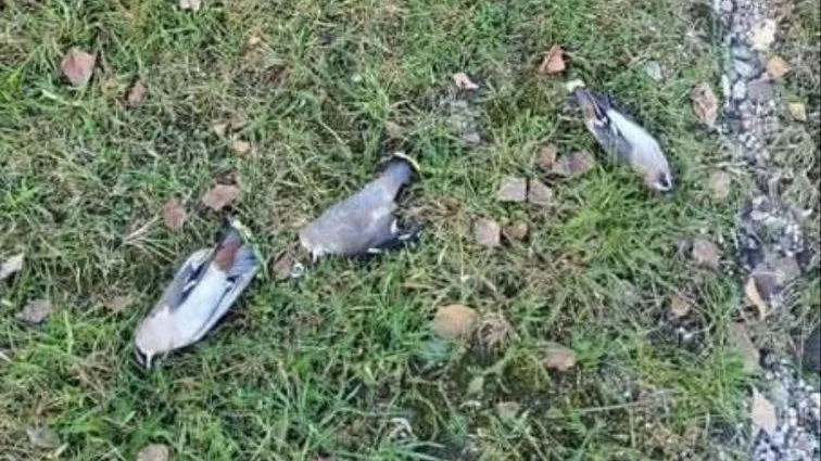 Фото из соцсетей