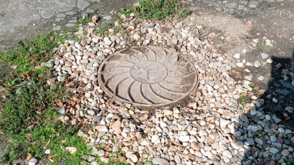 Фото: Администрация городского округа Лотошино