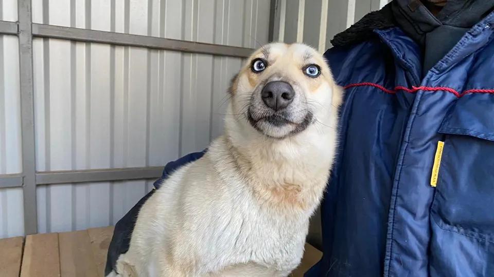 Фото: Минсельхоз МО