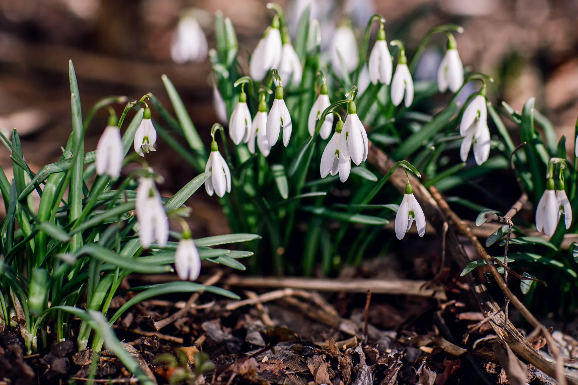 медиасток.рф