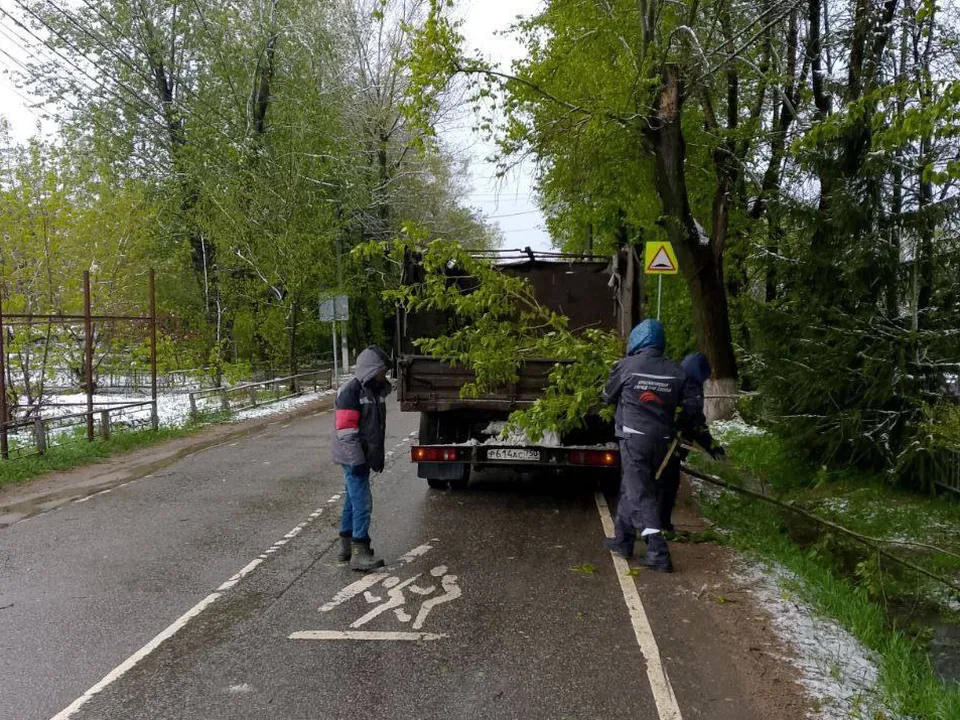 Фото: t.me/krasnogorsk_official