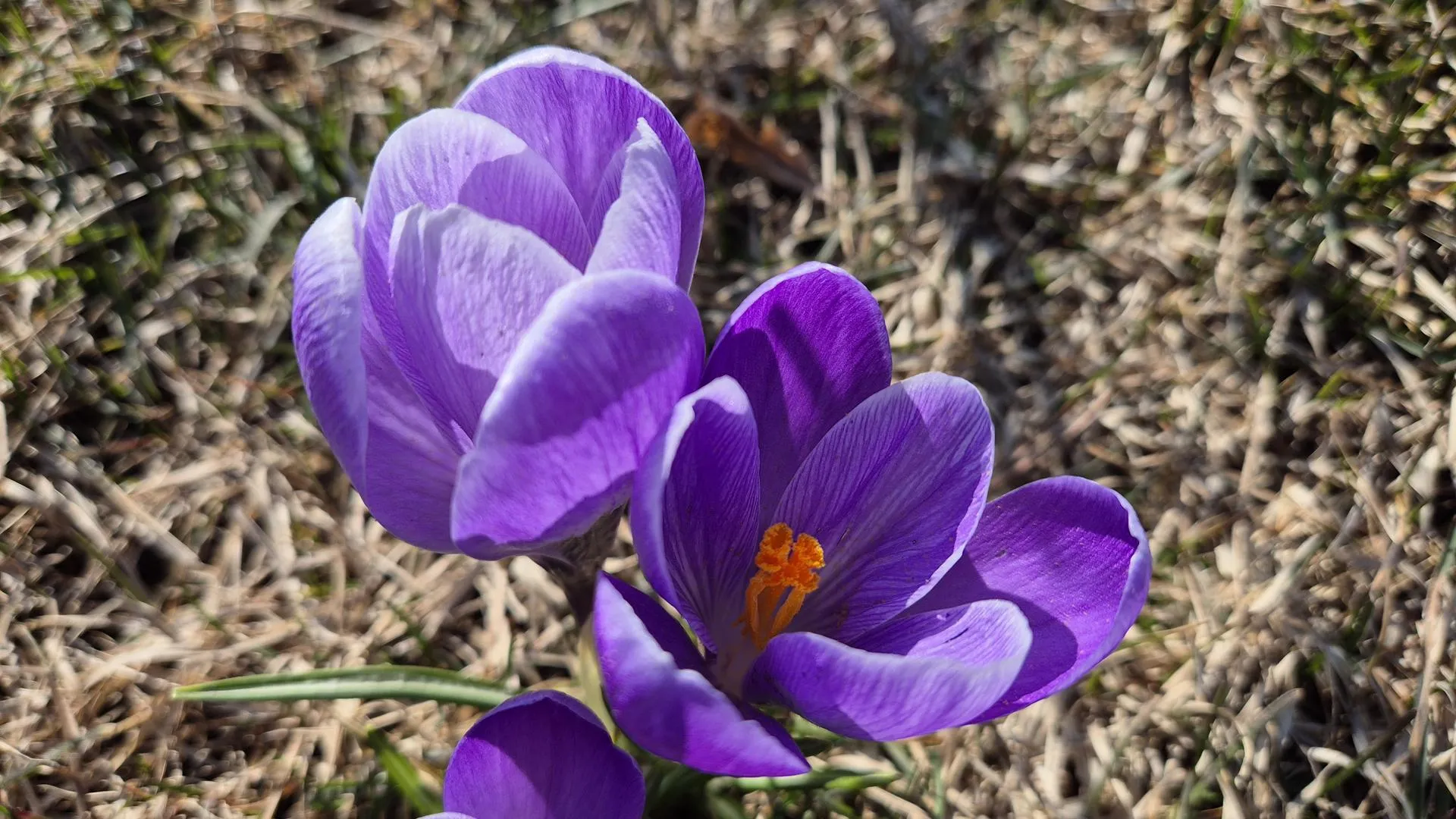 REGIONS/Ольга Панина