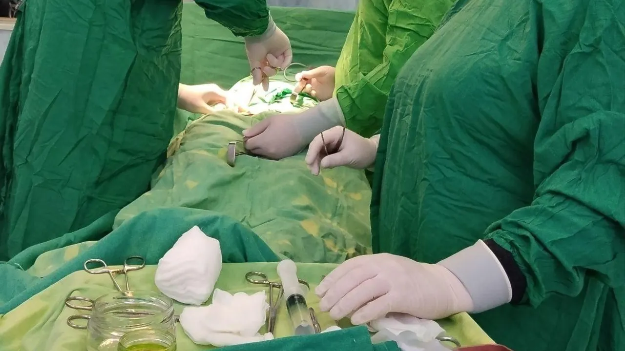 Фото: Минздрав МО