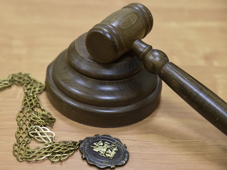 Фото: Медиасток Подмосковья