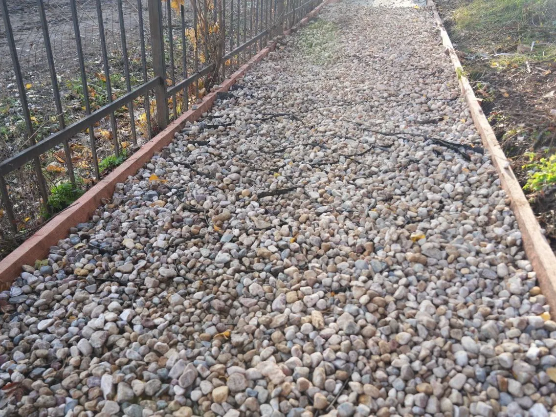 Фото: МедиаБанк Подмосковья/Дмитрий Зайчиков