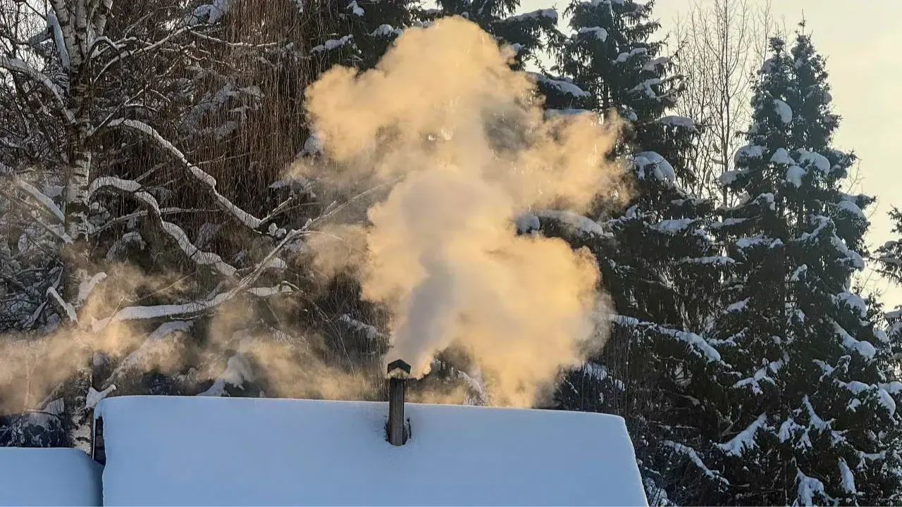 REGIONS/Анастасия Малышенко