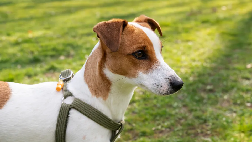 Фото: freepik.com