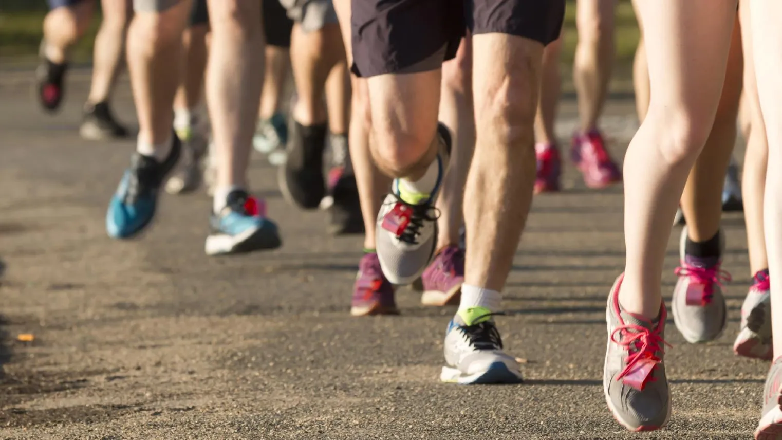 Фото: Istockphoto / WoodysPhotos