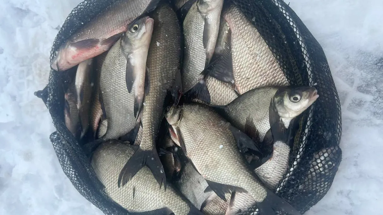 Фото: Максим Калгушкин