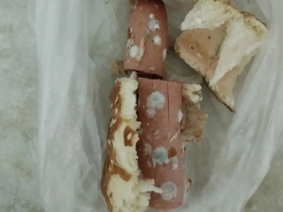 Фото: t.me/Истра, буря, безумие