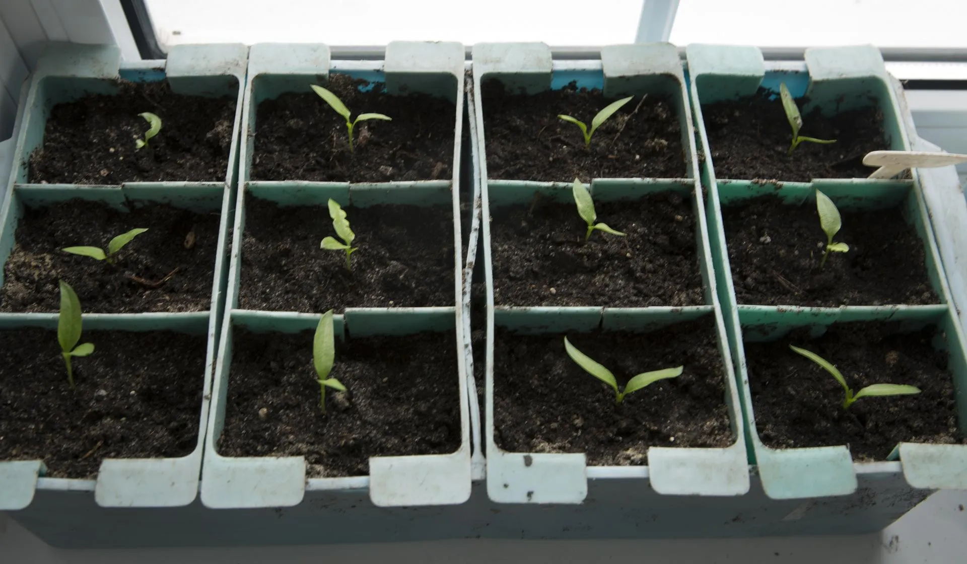 Nikolay Gyngazov/Global Look Press