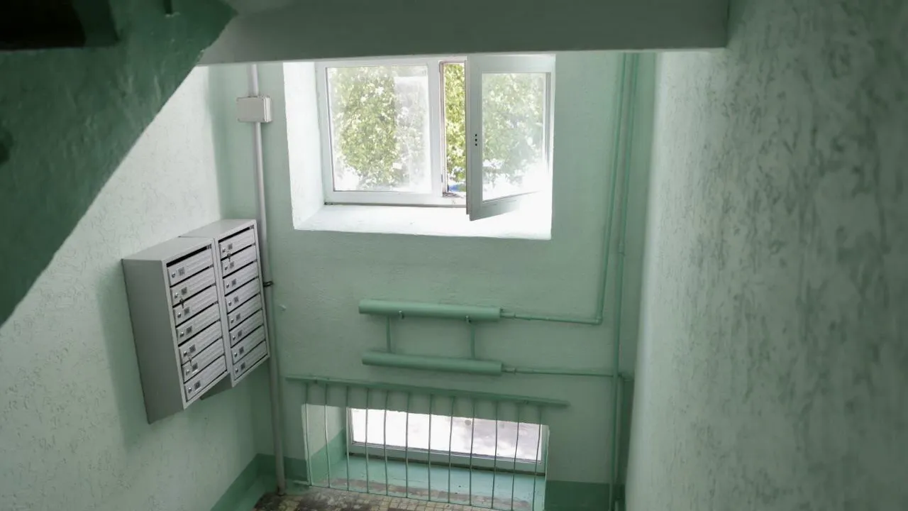 Фото: пресс-служба администрации городского округа Солнечногорск