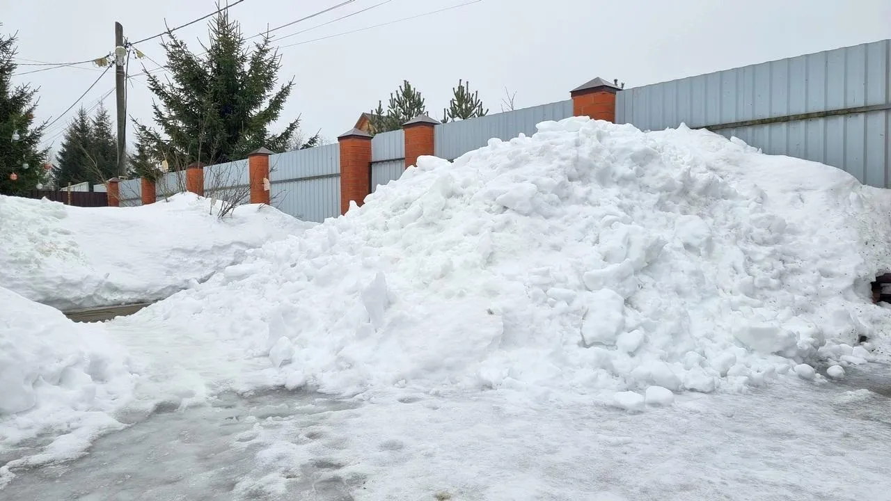 REGIONS/Юлия Алабина