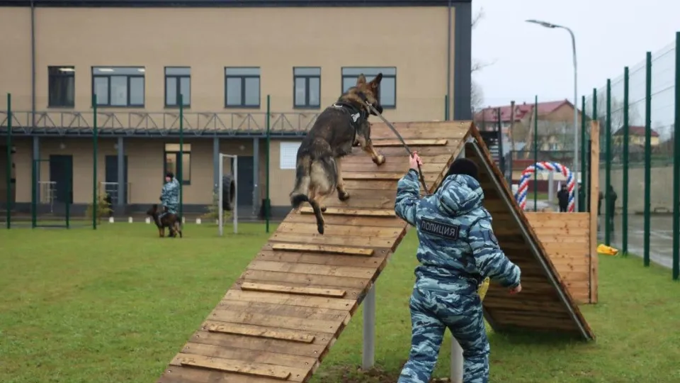 Фото: Роман Варцев