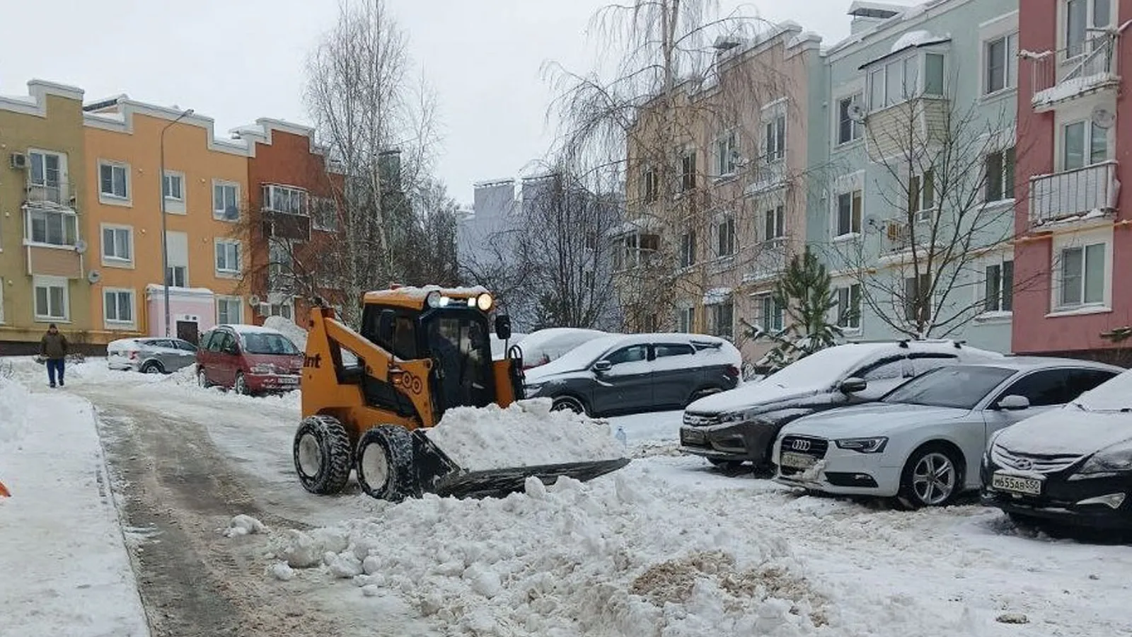 Фото: пресс-служба администрации г.о. Ступино
