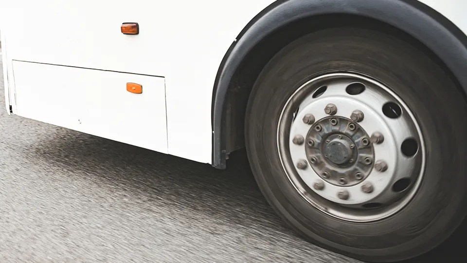 Фото: istockphoto.com/elenaleonova