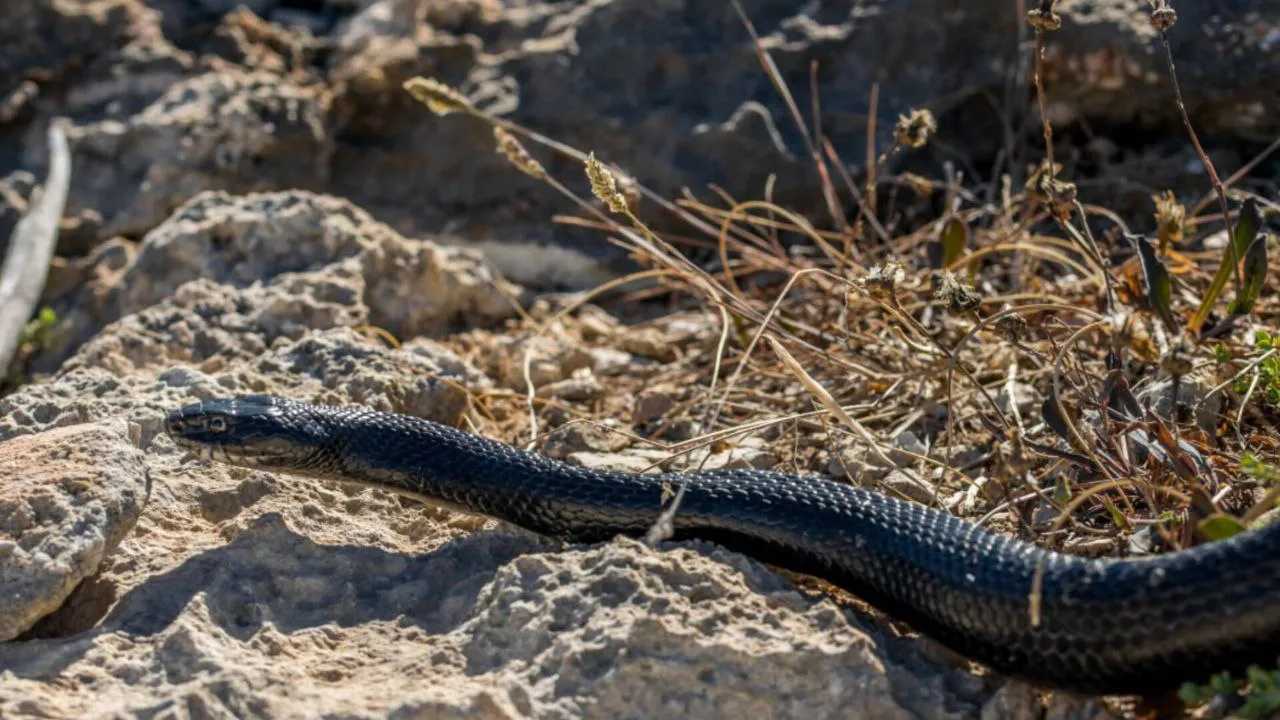 Фото: freepik.com