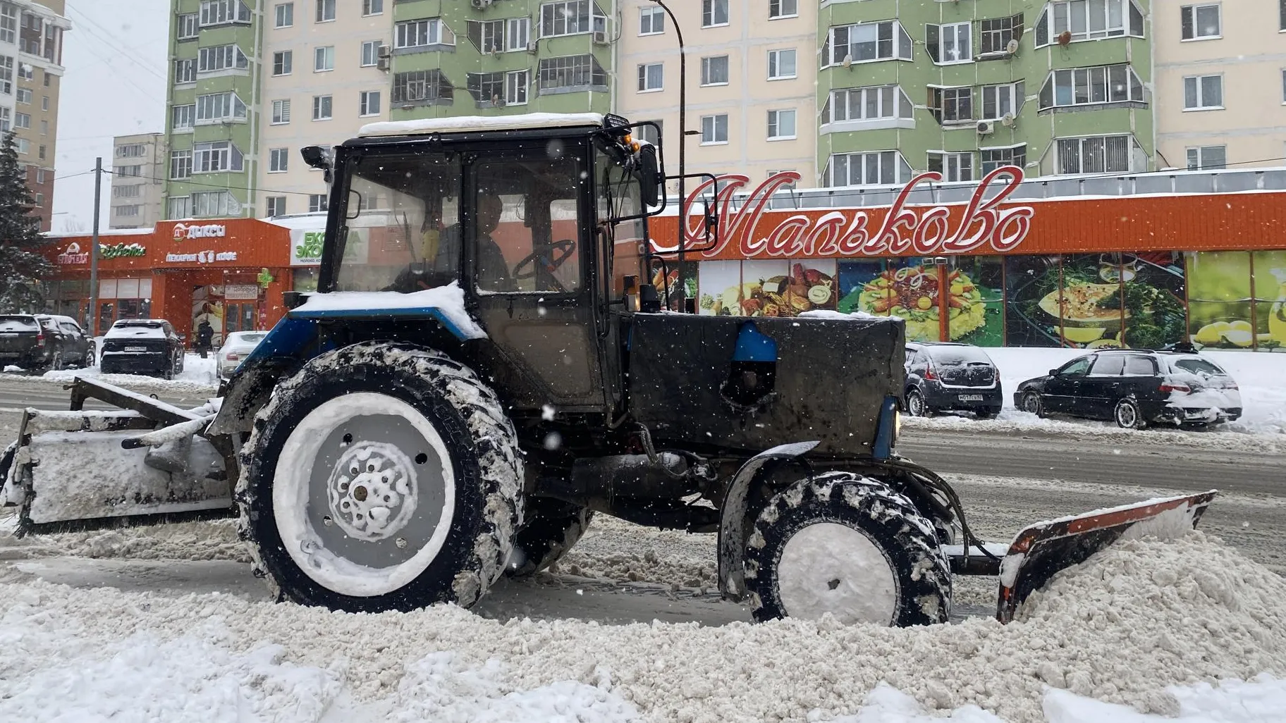 Анна Артюшина