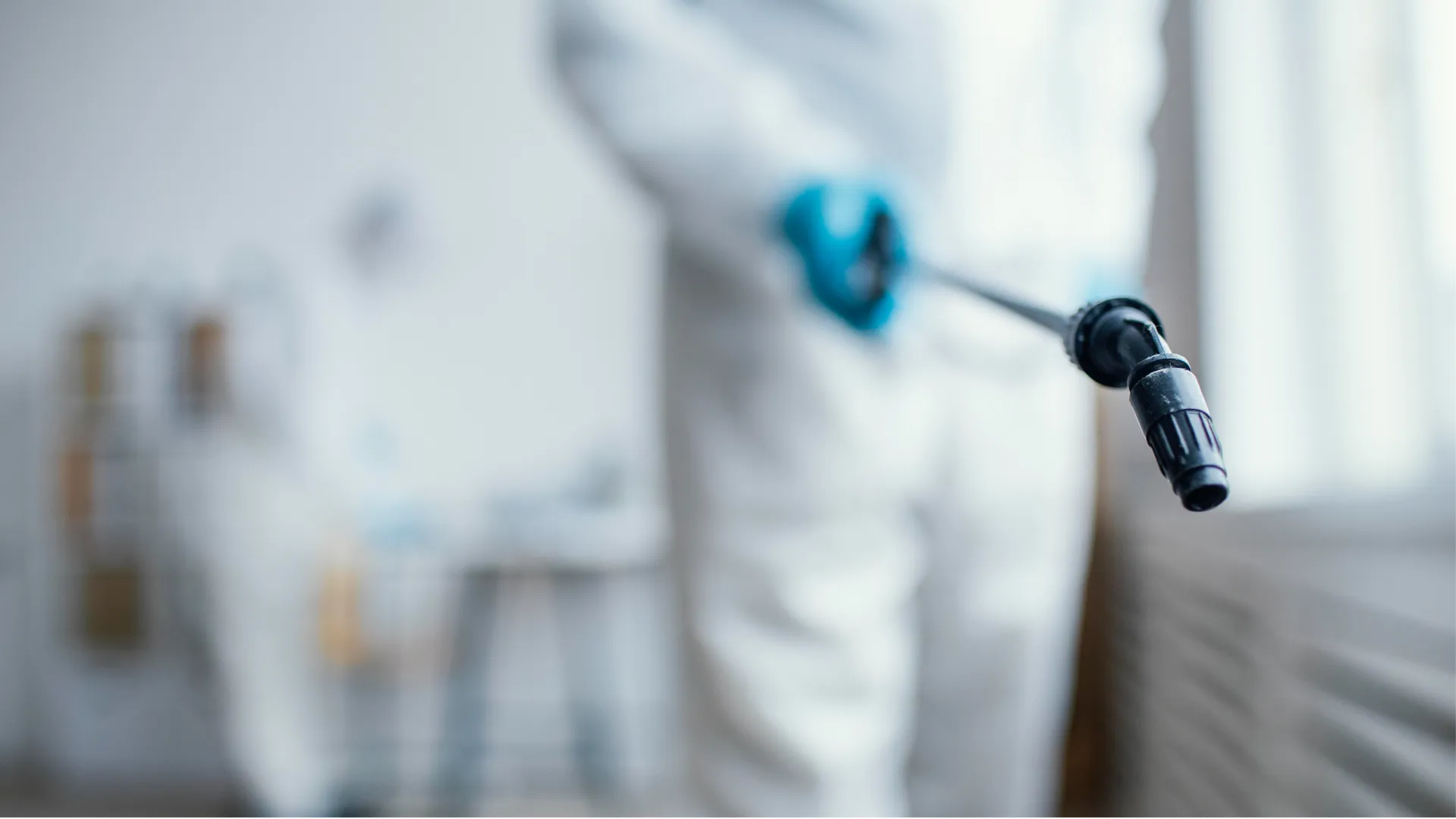 Источник: ru.freepik.com