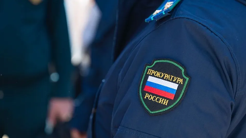 Фото: пресс-служба прокуратуры Московской области