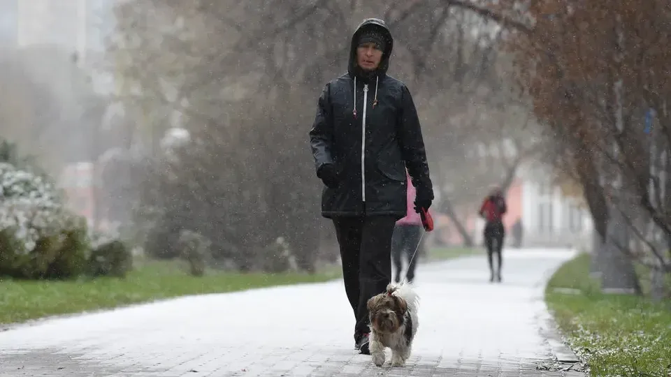 медиасток.рф