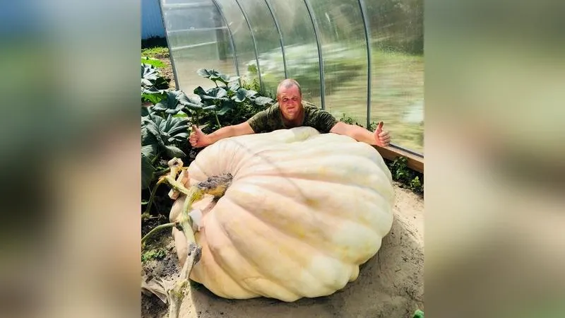 Tim's Pumpkin/vk.com