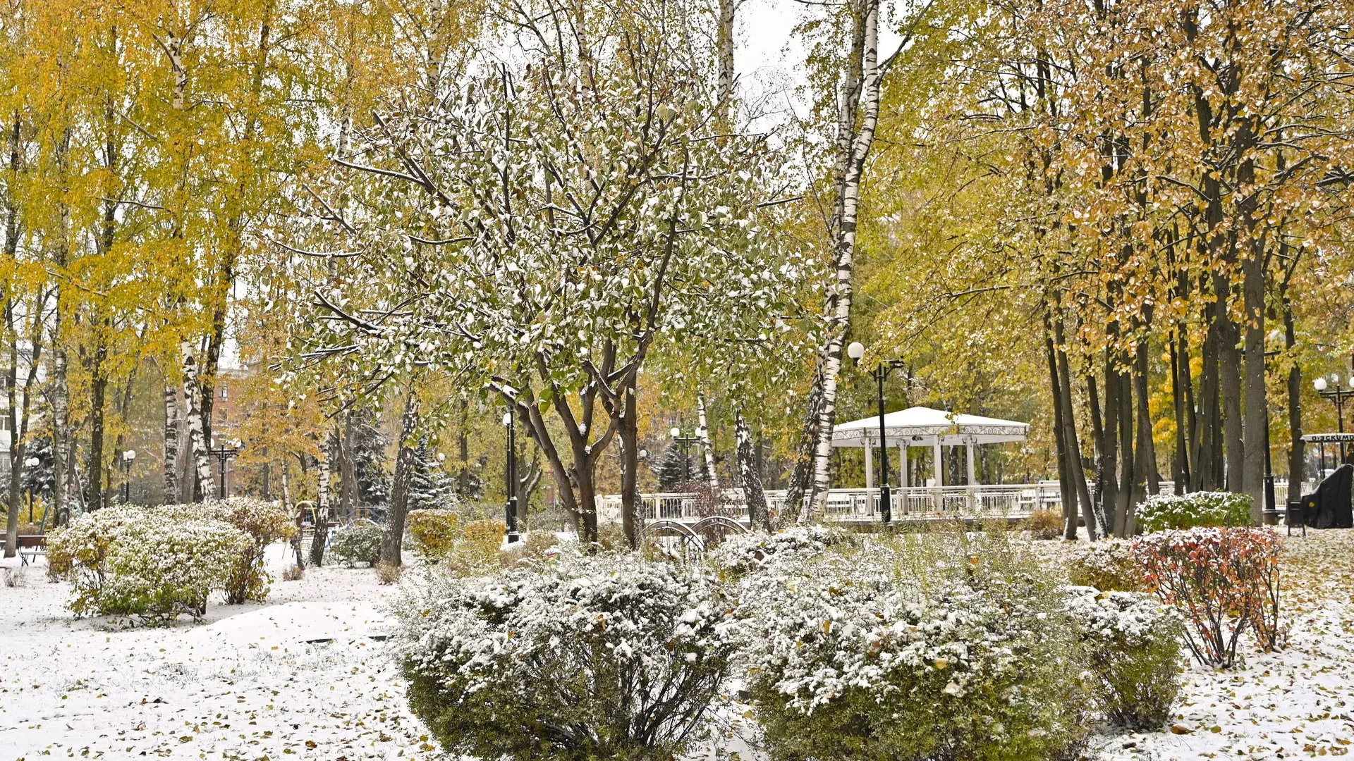 Фото: медиасток.рф