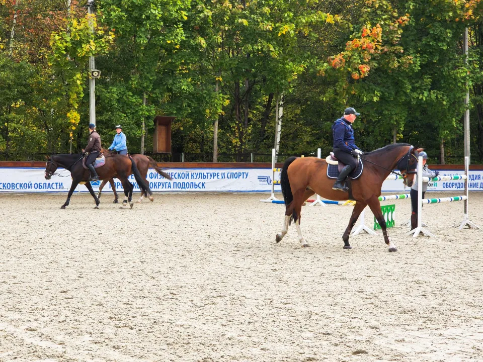 Фото: REGIONS/Мария Андрюхина