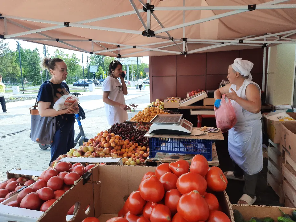 Фото: МедиаБанк Подмосковья/Михаил Мартыненко