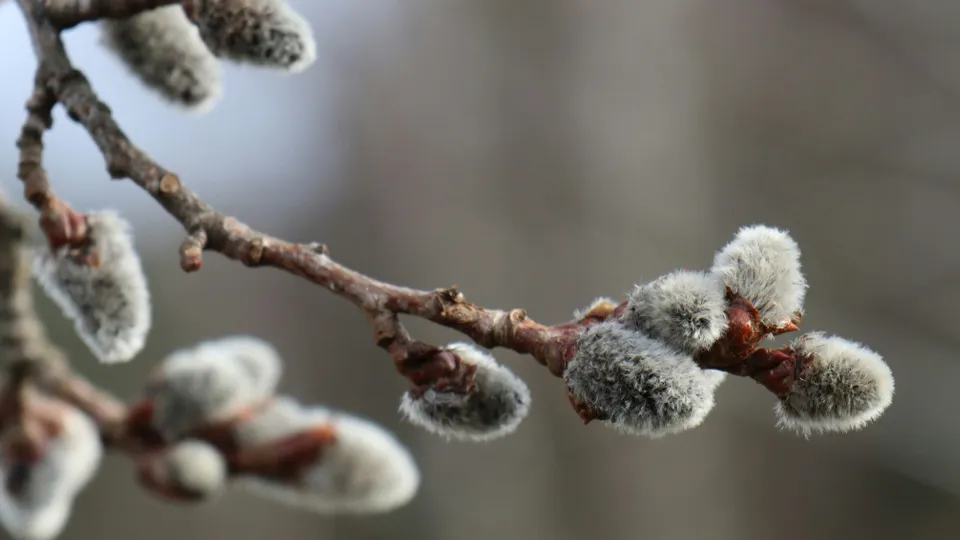 Фото: unsplash.com