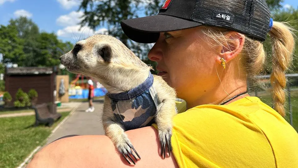 Фото: Парк культуры и отдыха «Щелково»