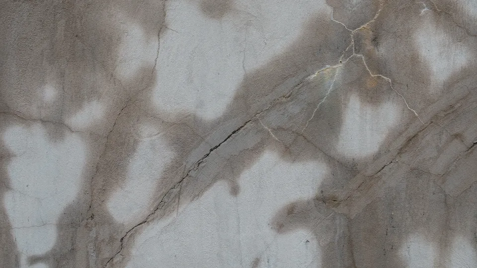 Фото: istockphoto.com