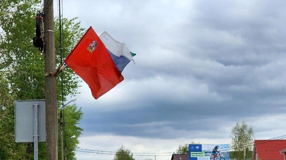 Анна Шолохова
