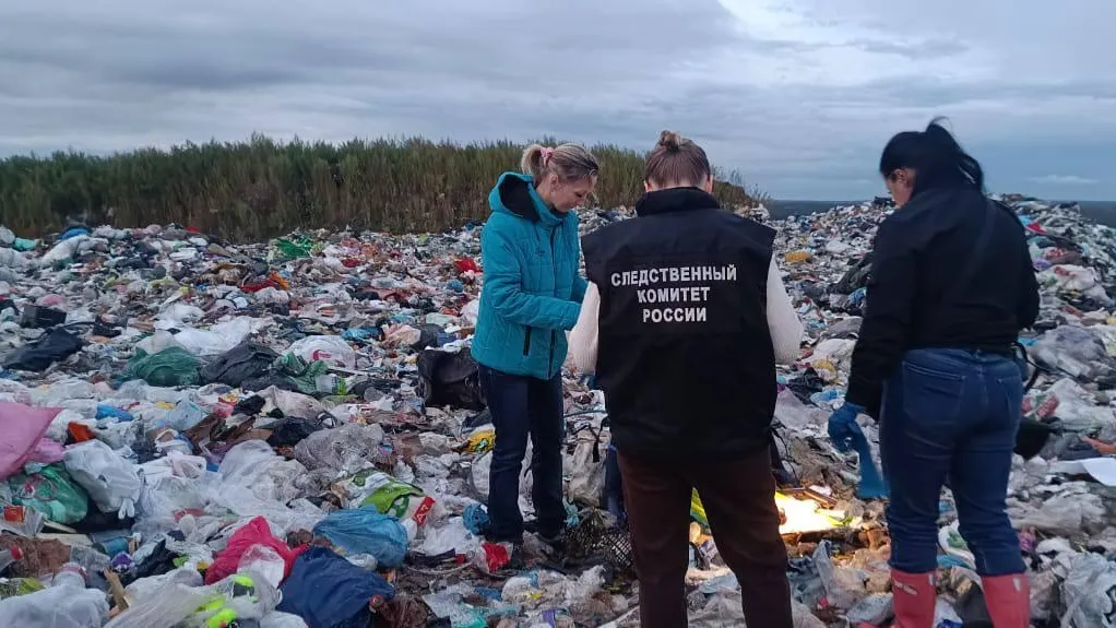 Следком Ленинградской области