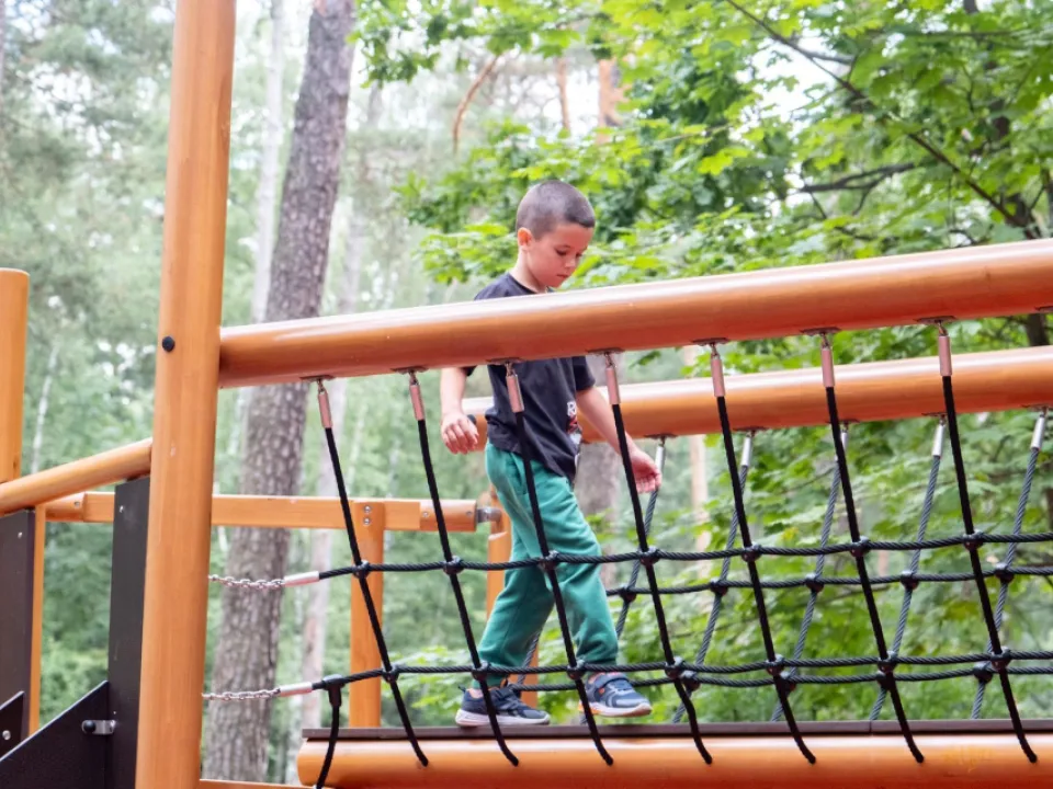 Фото: Министерство благоустройства Московской области