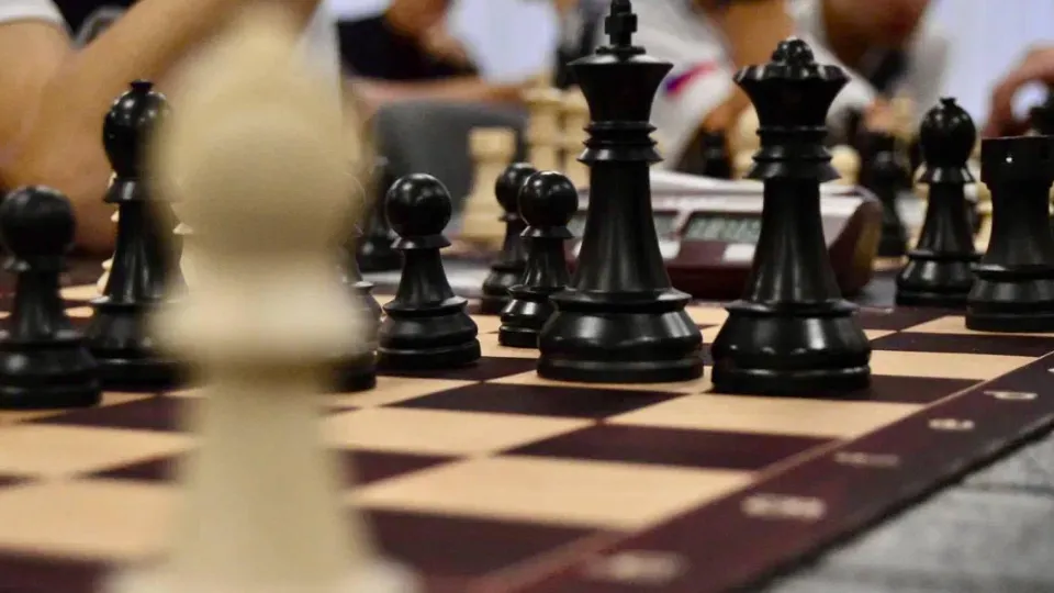 Фото: пресс-служба администрации г.о. Домодедово