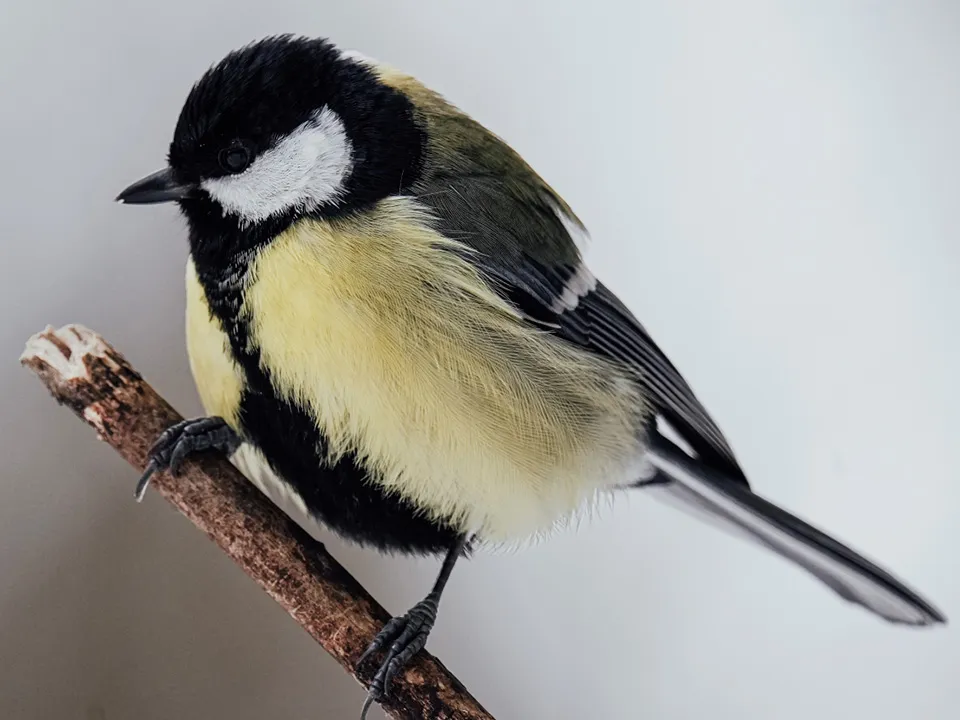 Фото: РИА Новости/Алексей Даничев