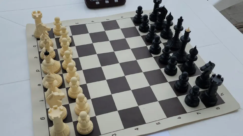 Фото: Медиабанк Подмосковья/Ольга Шеметова