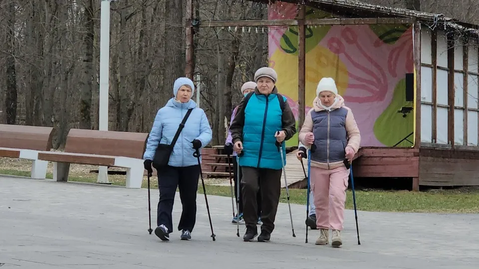 Фото: МедиаБанк Подмосковья/Екатерина Морозова